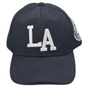 Personalized Black LA Dodgers Baseball Cap Snapback Adjustable Embroidered Logo